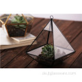 Super große Form hängendes Glas Pflanzen Terrarium Geometrisch